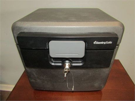 SentrySafe Plastic Fire/Waterproof Safe with Key,
