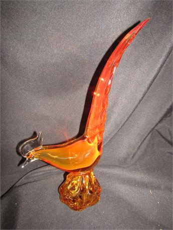 Glass Pheasant