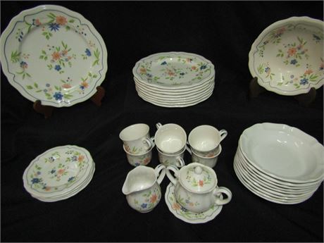 Vintage Country French Ironstone China