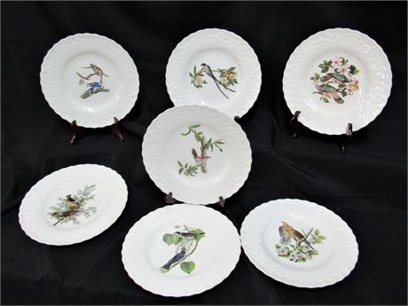 7 Alfred Meakin Birds of America National Audubon Society Plates