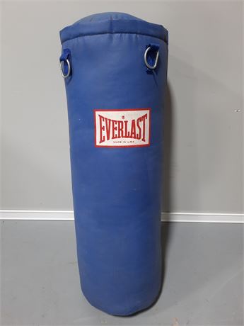 Everlast Training Bag