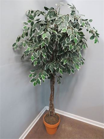 6 ft. Artificial Ficus Tree