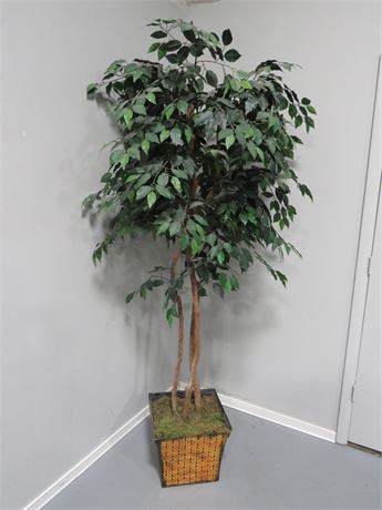 7 ft. Artificial Ficus Tree