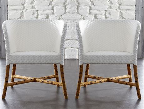 PAOLA NAVONE Arm Chairs from Crate & Barrel