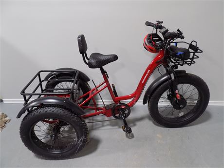 Electric Tricycle Trike FT-1900X
