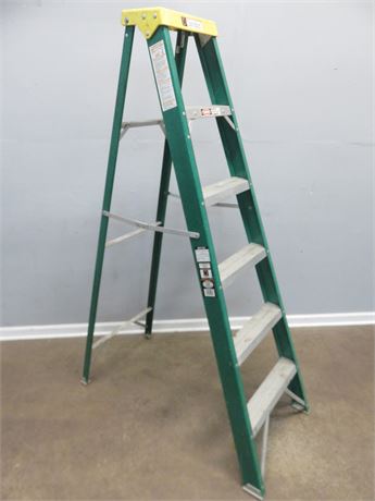 DAVIDSON 6 ft. Fiberglass Step Ladder