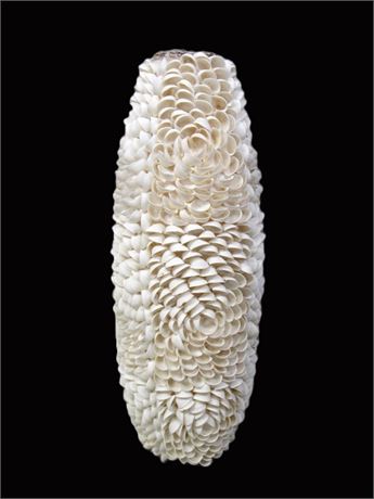 Sea Shell Vase - Over 20" Tall!