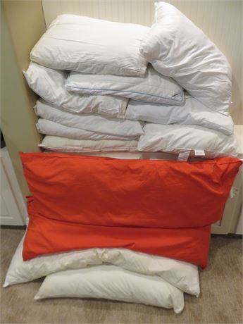 Assorted Bed and Body Pillows