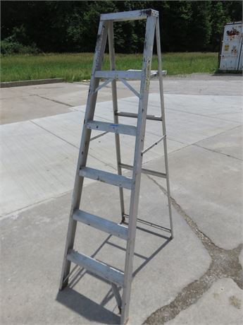 WHITE 6 ft. Aluminum Ladder