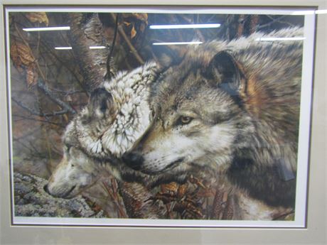Wolf Faces Limited Edition Print, Artist Signed, Numbered Professionally framed