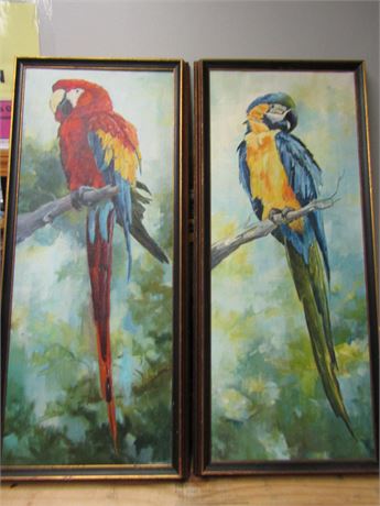 Original Signed Parrot Paintings
