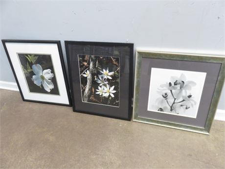 3 Floral Art Prints