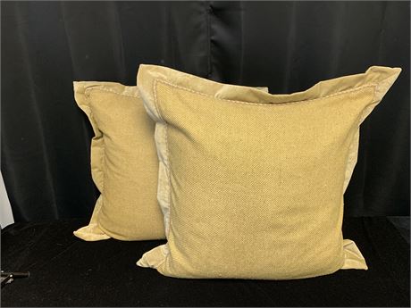 Lot of 2 New Pillows
