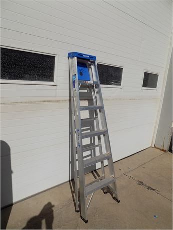 Werner Home Ladder