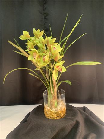 Cymbidium Orchid in Clear Glass Vase in Stones