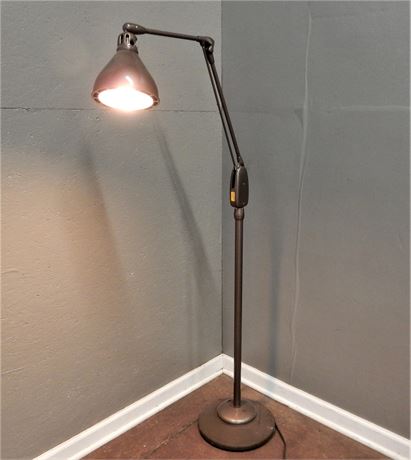 Industrial Style Metal Reading/Floor Lamp