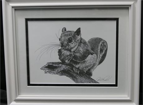 ROBERT POW Flying Squirrel / Squirrel / Gopher Signed Decorator Ink Print